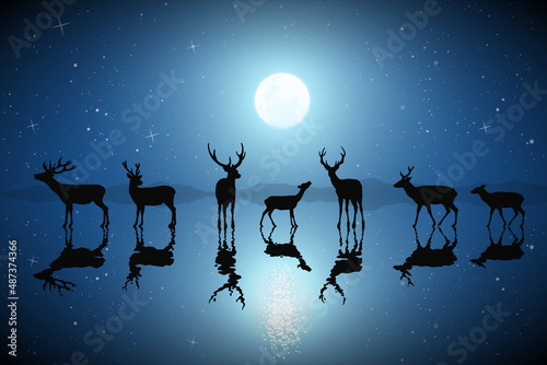 Deer family on frozen lake. Animal herd silhouette. Full moon at night