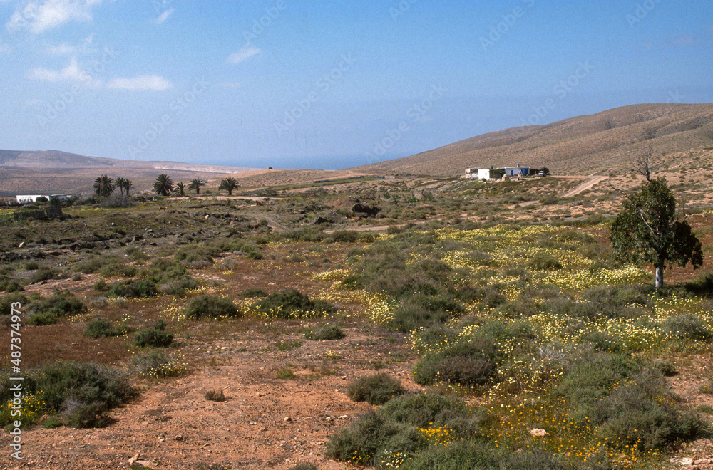 parc natural de Corralejo, Ile de Fuerteventura, Iles Canaries, Espagne