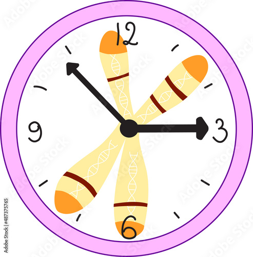 Telomere as a biological clock