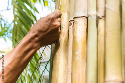 A man ties together split bamboo poles with nylon string, affixing it to a chain link fence to cover it. Home renovation and beautification. photo