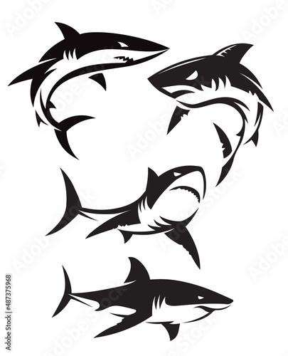 abstract simple shark logo vector collection