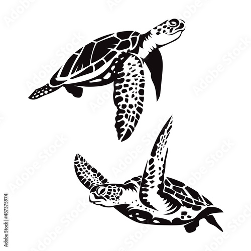 two sea turtle swimming silhouette