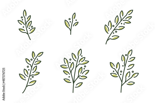 Laurel. Different types of branch. Simple contour vector illustration for packaging, corporate identity, labels, postcards, invitations.