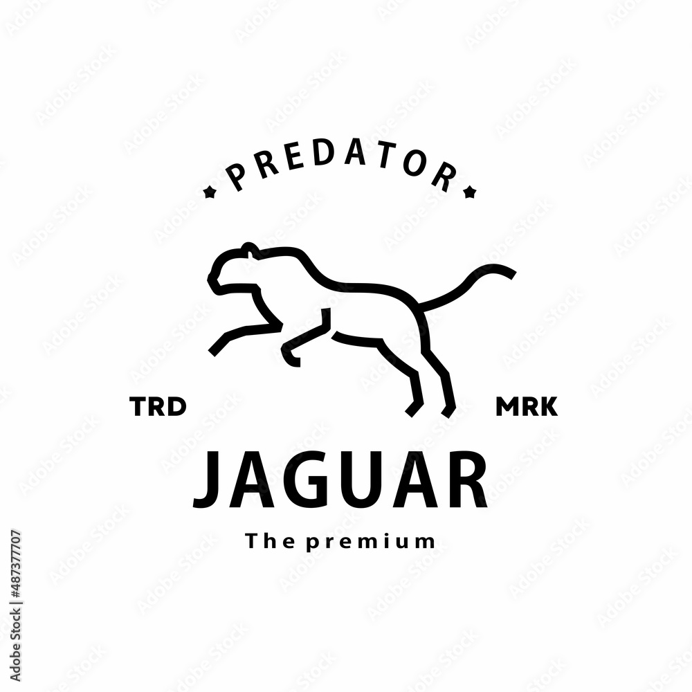 vintage retro hipster jaguar logo vector outline monoline art icon