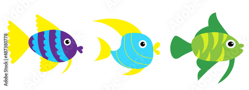 fish swim flat design, isolated vector © zolotons