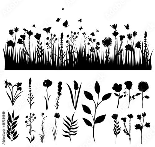 grass, flowers set silhouette, isolated vector © zolotons