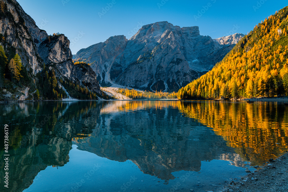 Autumn and golden reflections on Lake Braies. Park of the Dolomites.