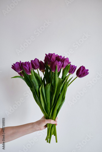 Happy woman holds purple tulips in her hands. Florist girl gathered a bouquet. Beautiful lavender flowers. Blossom petal. Gift for the holiday celebration, springtime mood. Romantic surprise