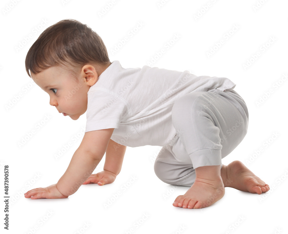 Cute little baby crawling on white background Cute little baby crawling on white background