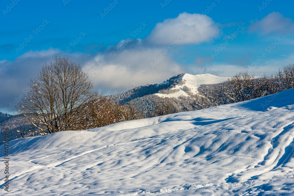 Winter landscape from the Alps of the Intelvi Valley. Location Ramponio. Province of Como. Lombardy. Italy Winter landscape from the Alps of the Intelvi Valley. Location Ramponio. Province of Como. Lombardy. Italy