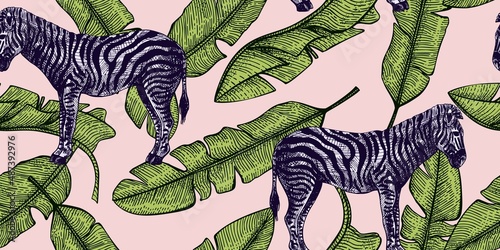 Tropical zebra and banana leaf seamless pattern. Retro african animals in engraving style.