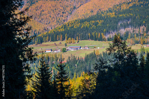 Autumn in Val Fiscalina, Dolomites Park.