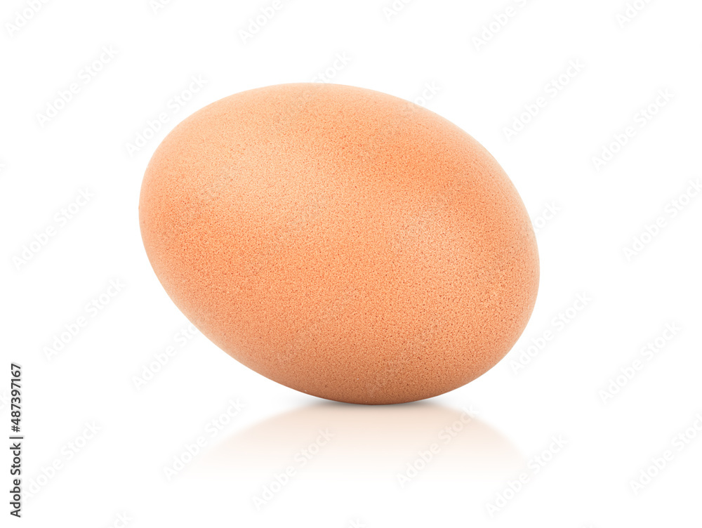 one egg on isolated white background