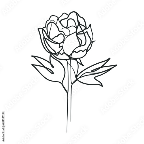 Continuous line drawing of simple flower illustration