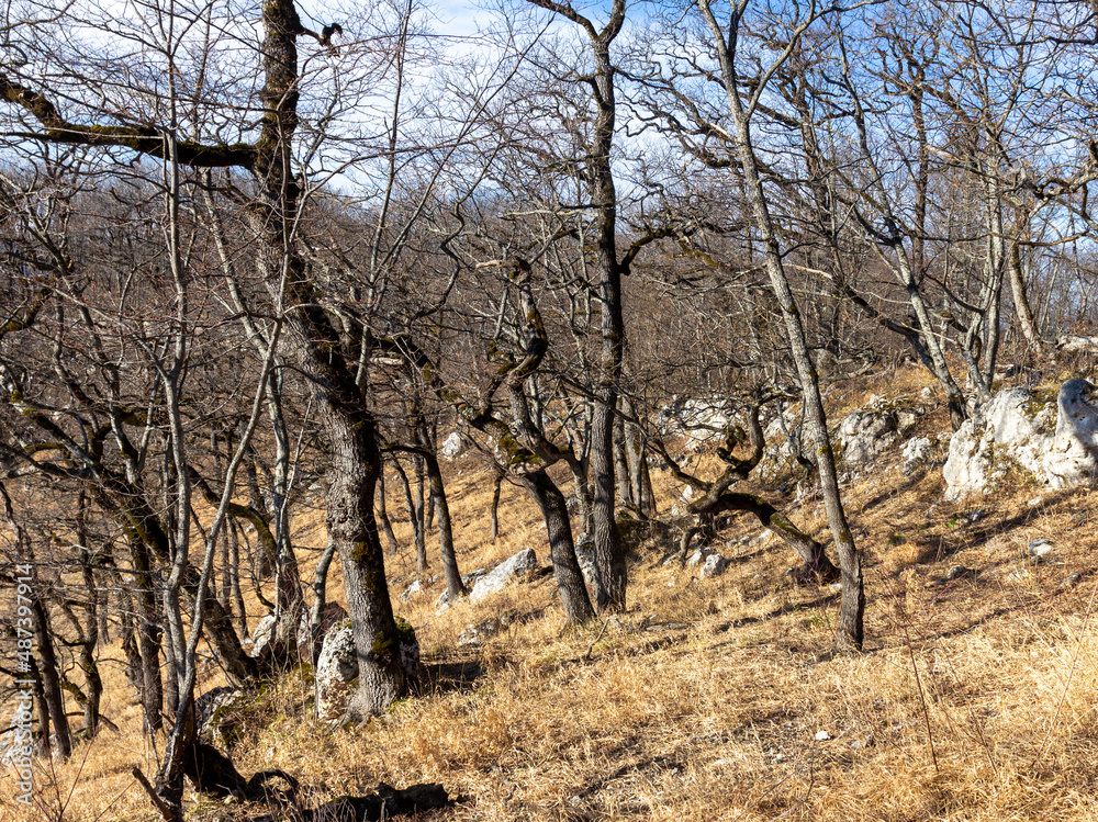 Winter mountain landscape on a sunny day, without snow cover, on observation decks. Winter mountain landscape on a sunny day, without snow cover, on observation decks.