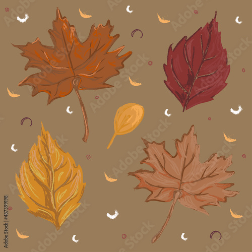 Vector set of autumn maple and poplar leaves.