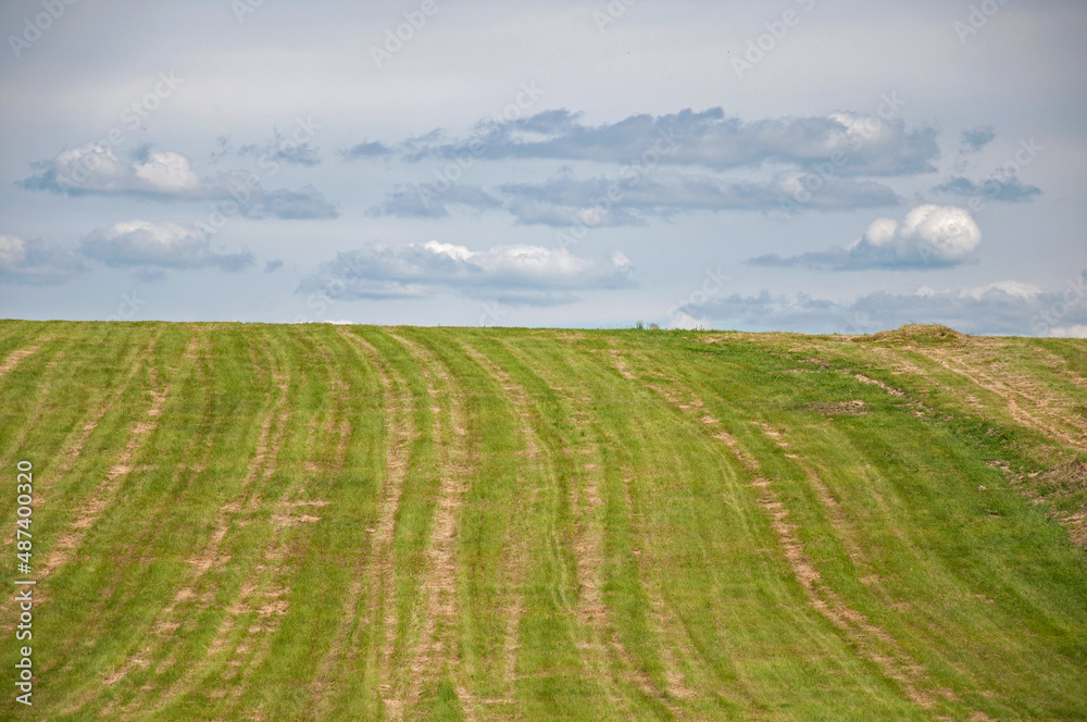 Simple view of green hill meadow and cloudy sky