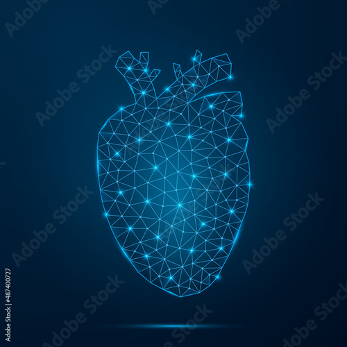 Human heart with low poly glowing connected dots. Futuristic internal organ with triangular blue shapes. Vector isolated on dark blue background.