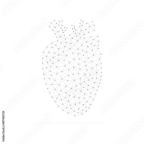 Human heart with low poly black connected dots. Internal organ with triangular linear shapes. Vector isolated on white background.