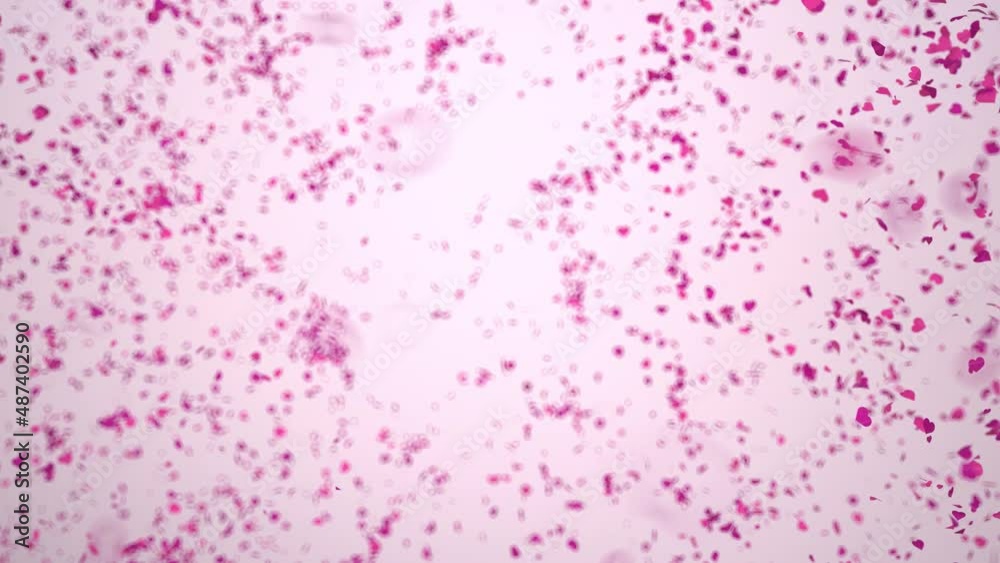 4k Video Confetti Hearts Wind, Prores 4444 4k Video Confetti Hearts Wind, Prores 4444