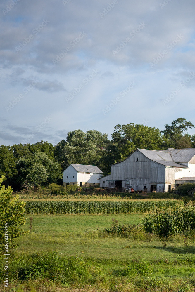 Old White Barn on an Amish Farm with Corn Fields in the Foreground under a Partly Cloudy Sky | Holmes County, Ohio Old White Barn on an Amish Farm with Corn Fields in the Foreground under a Partly Cloudy Sky | Holmes County, Ohio