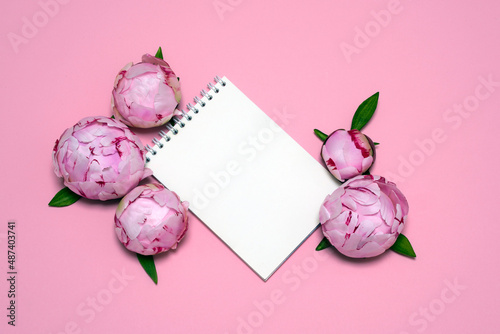 on a pink background a white sheet, beautiful pink peonies. card, congratulations on March 8, Valentine's Day, Mother's Day