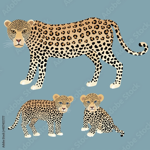 Fototapeta Naklejka Na Ścianę i Meble -  Leopard. Vector illustration. Mother and her babies.