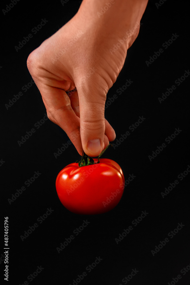 hand holding a tomato on a black background hand holding a tomato on a black background