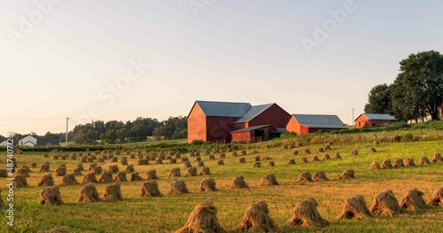 Golden Wheat Shocks on a Farm Field with a Red Barn in the Background underneath a Clear Sky