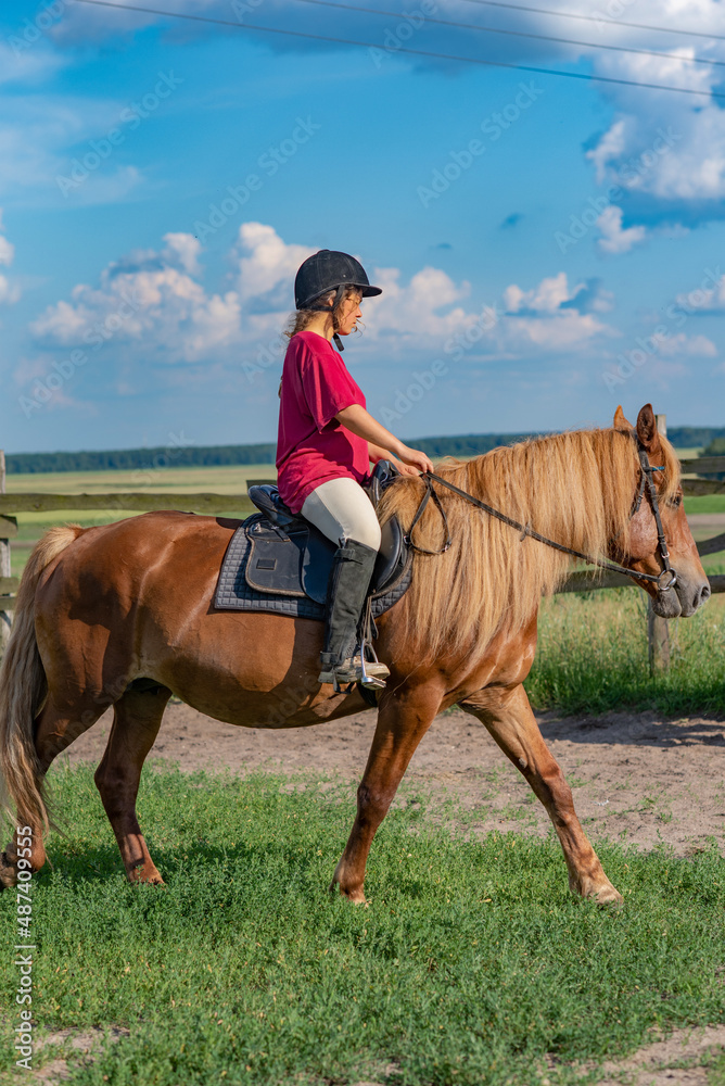 A young beautiful girl in a jockey cap and a red T-shirt rides a horse.