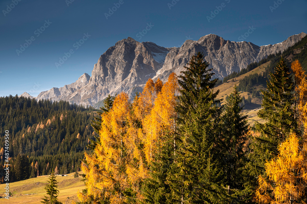 autumnal landscape in the mountains near Dienten in Salzburger Land in Austria