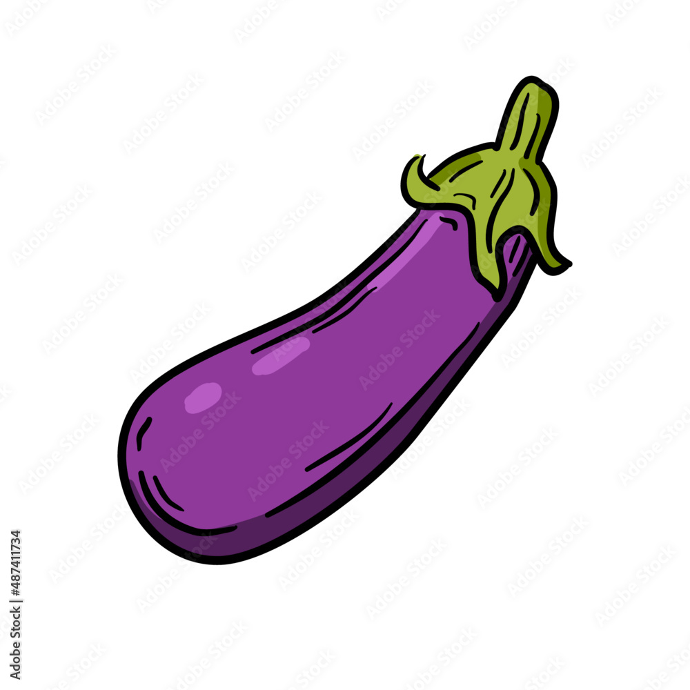Vector illustration, eggplant isolated on white background. Vector illustration, eggplant isolated on white background.