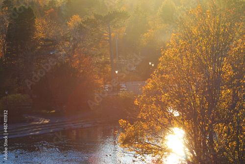 Autumn view of Bowring park, at the duck pond, sunset. photo