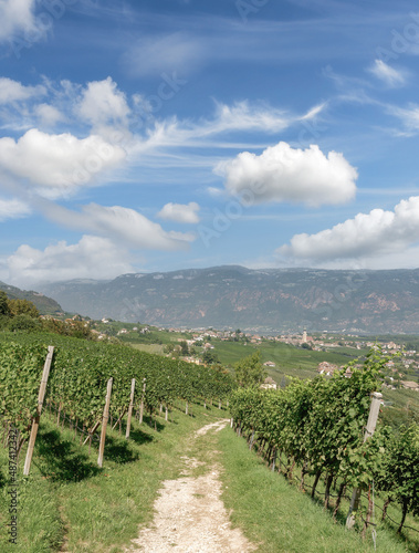 view to Wine Village of Appiano or Eppan an der Weinstrasse,,Trentino,South Tirol,Italy photo