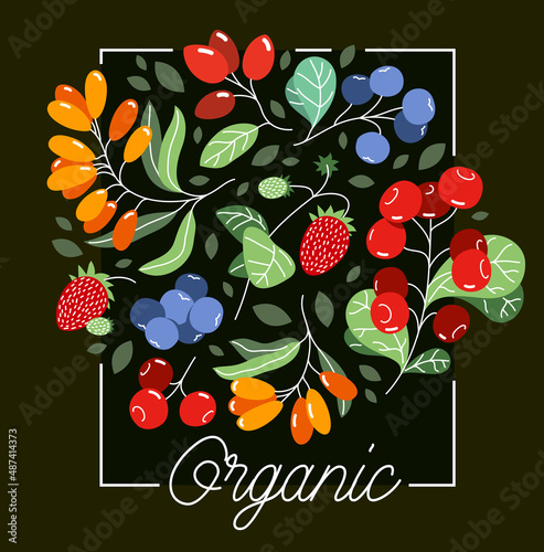 Wild berries fresh and ripe tasty healthy food vector flat style illustration over dark background, delicious vegetation diet eating, organic food.
