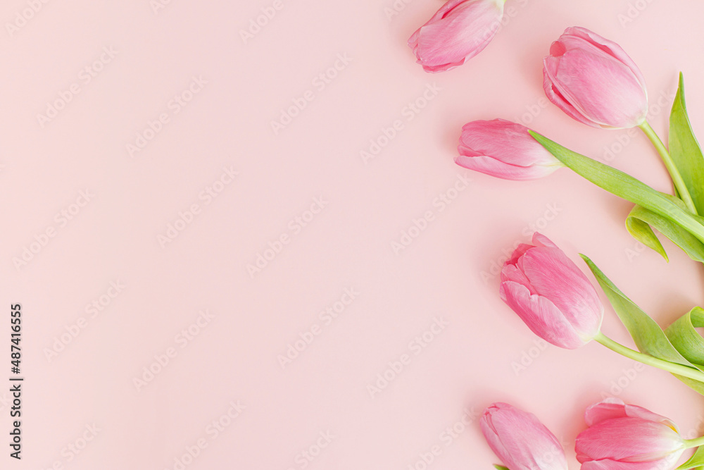 Floral Greeting card template with space for text. Pink tulips flat lay on pink background. Happy womens day. Happy Mothers day. 8 march. Stylish minimal tender spring banner Floral Greeting card template with space for text. Pink tulips flat lay on pink background. Happy womens day. Happy Mothers day. 8 march. Stylish minimal tender spring banner