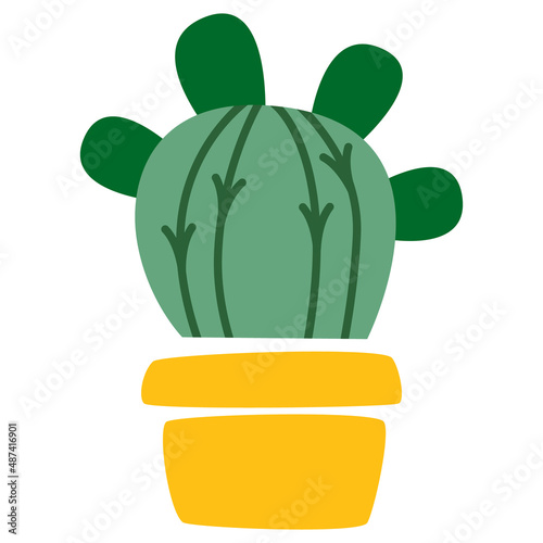 Vector illustration of cactus in flower pot. Succulent houseplant home gardening and decoration. Cacti smiling friendly character. For cards, social media, banners and printing on paper or textile. 
