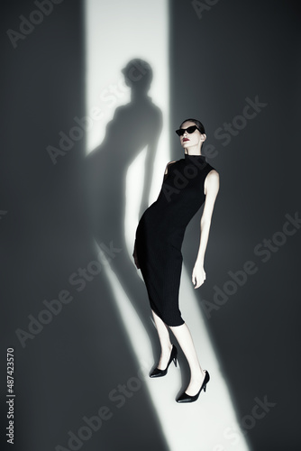 lady in elegant dress © Andrey Kiselev