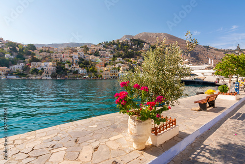 Flowers on sea promenade of Symi town, Greece