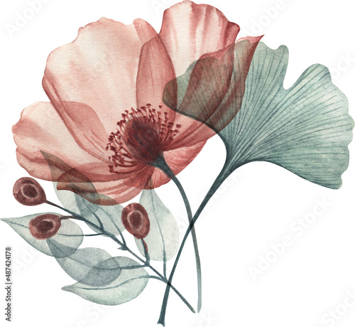 Watercolor  floral illustration, dusty red and blue flowers with transparent petals, seamless border,. Hand drawn watercolor illustration on a white background 