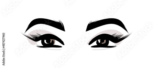 Female eyes look. Makeup vector illustration isolated.