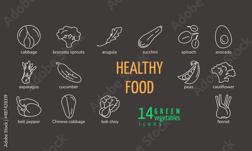 White line icons set of green vegetables with cabbage zucchini spinach asparagus cucumber avocado peas arugula bock choy fennel brussels sprouts cauliflower healthy food isolated vector illustration