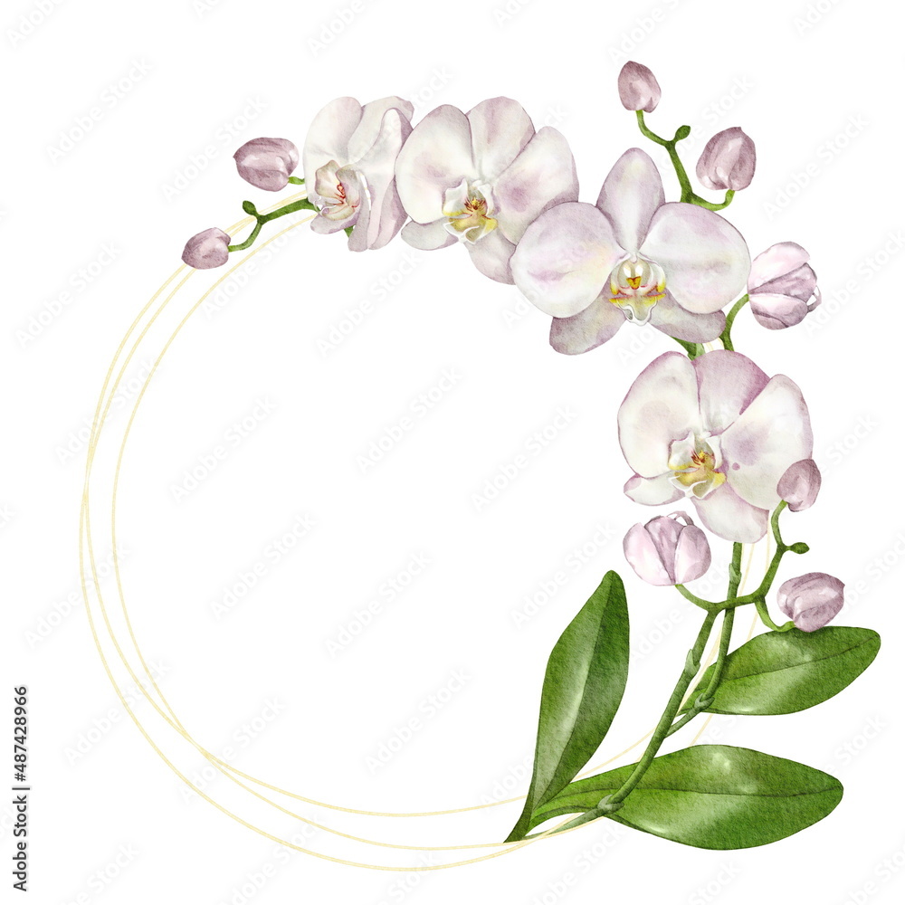 Elegant golden round frame with an orchid. Isolated on white