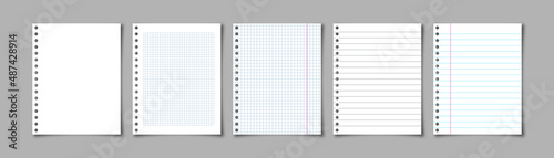 Realistic sheets of paper from exercise book. Squared and lined blank pages. Vector Illustration.