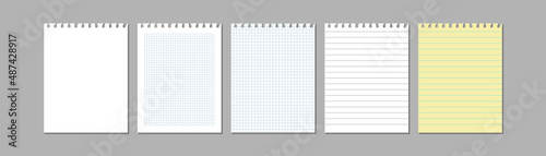 Torn sheets of paper from exercise book. Squared and lined blank pages. Realistic vector Illustration.