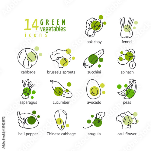 Green vegetables line icons set with cabbage zucchini spinach asparagus cucumber avocado peas arugula bock choy fennel brussels sprouts cauliflower healthy food isolated vector illustration