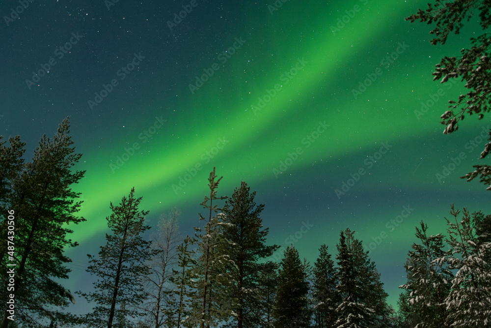 Green Northern Lights Green Northern Lights