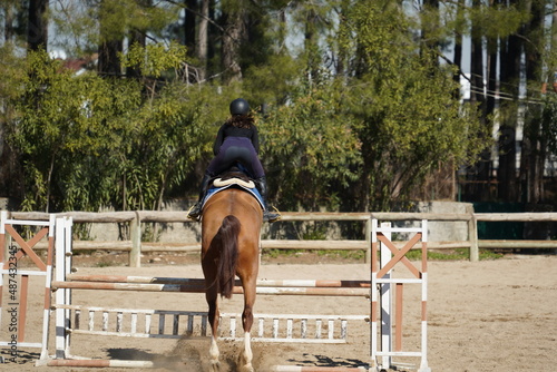 Horse barrier jump training, Show Jumping, Equestrian Sports, Horse riding