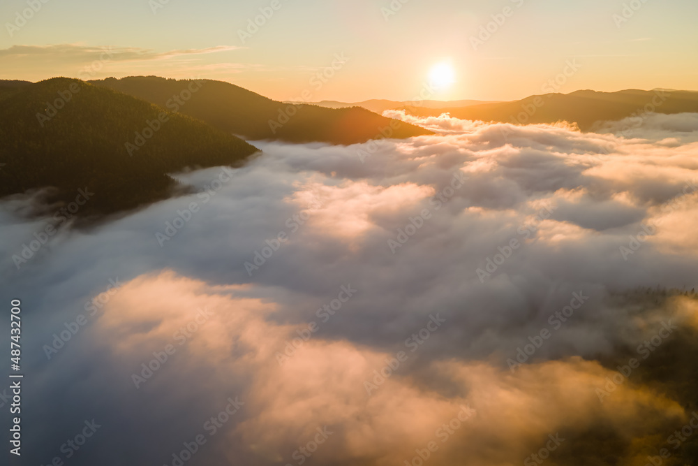 Aerial view of amazing scenery with foggy dark mountain forest pine trees at autumn sunrise. Beautiful wild woodland with shining rays of light at dawn Aerial view of amazing scenery with foggy dark mountain forest pine trees at autumn sunrise. Beautiful wild woodland with shining rays of light at dawn