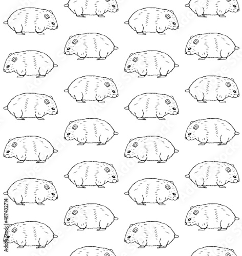 Vector seamless pattern of hand drawn doodle sketch hamster isolated on white background